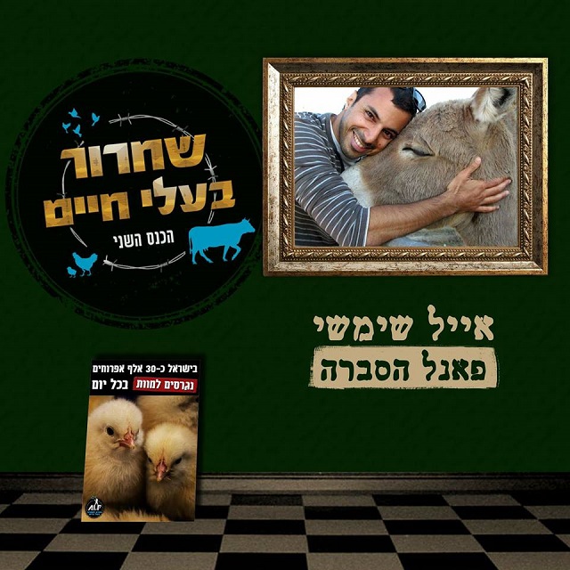 אייל שמשי