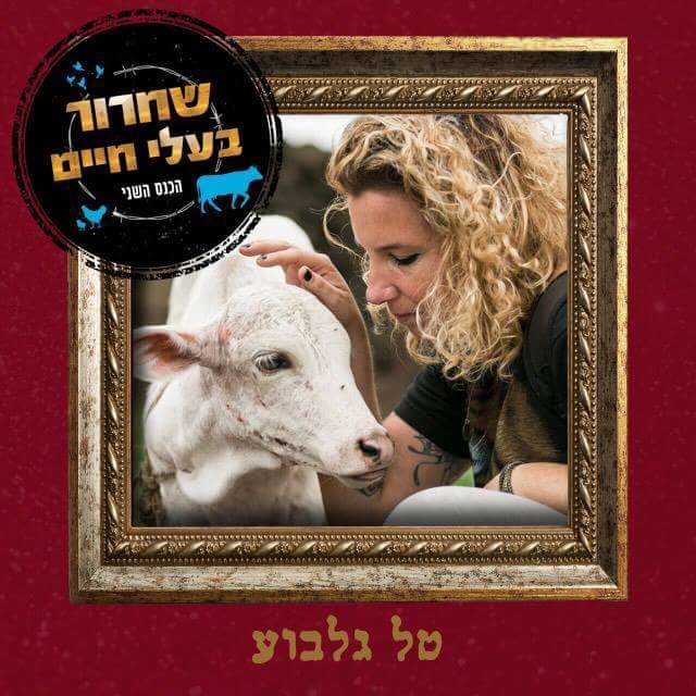 טל גלבוע