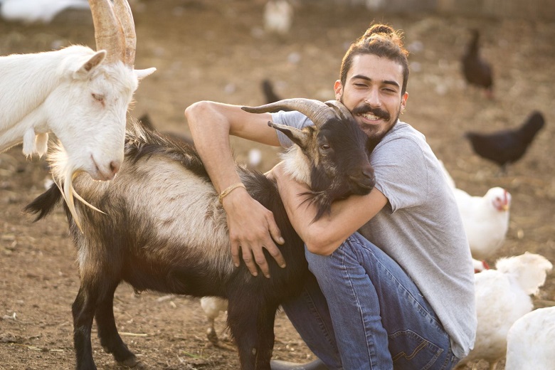 החווה של יוסי בוזנאה