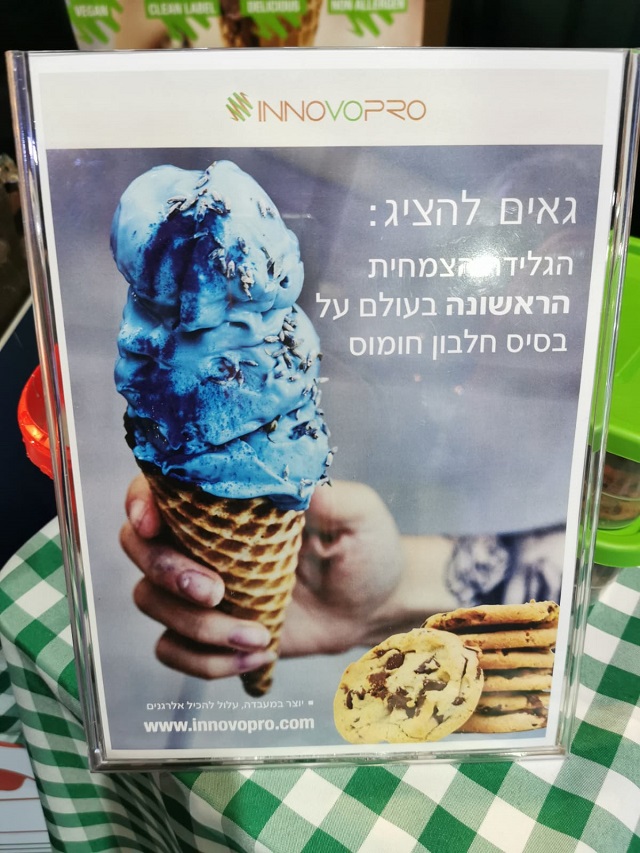 גלידה על בסיס חלבון חומוס של InnovoPro