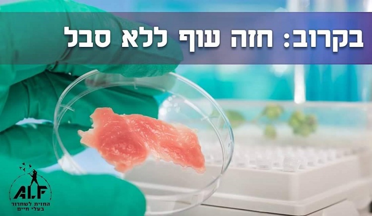 בקרוב: חזה עוף ללא סבל