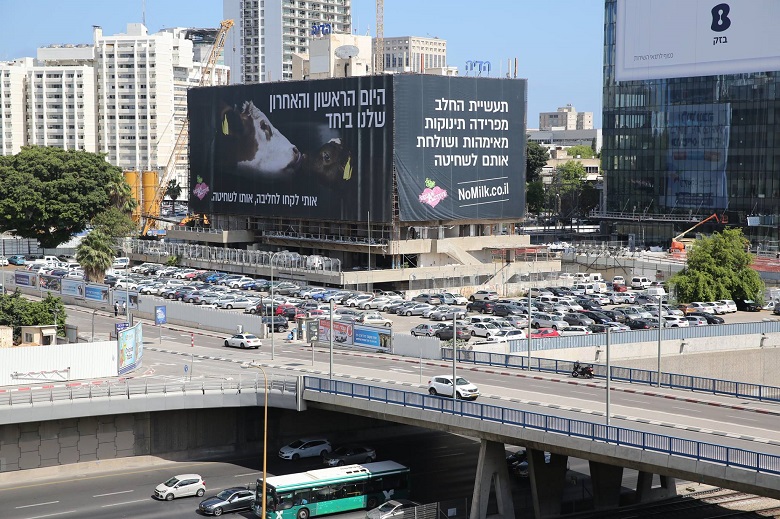 אותי לקחו לחליבה, אותו לשחיטה