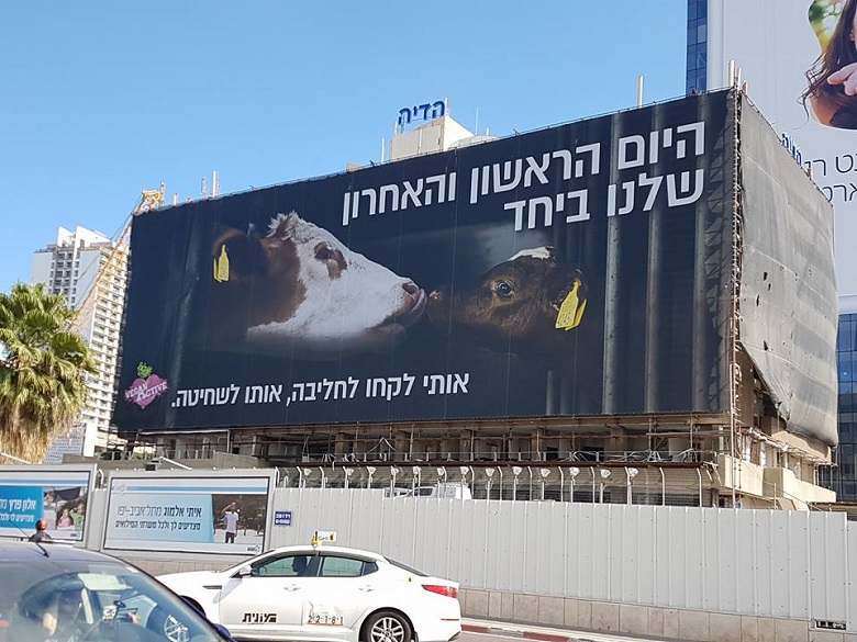 היום הראשון והאחרון שלנו ביחד