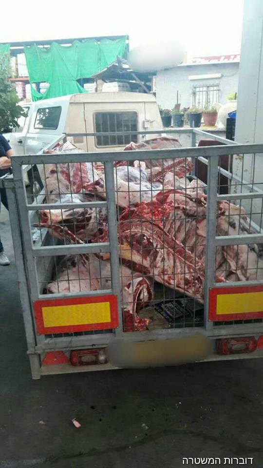 טמרה: כ-6 טון בשר נתפסו על ידי שוטרי משמר הגבול