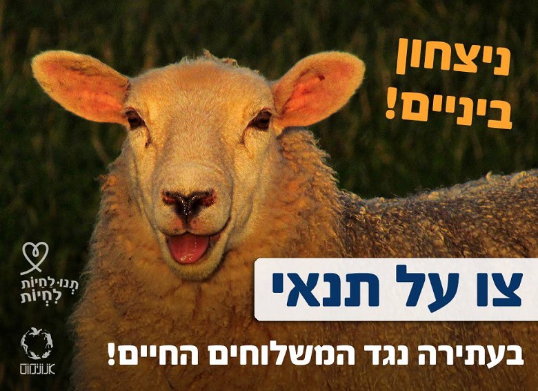 ניצחון ביניים - צו על תנאי בעתירה נגד המשלוחים החיים