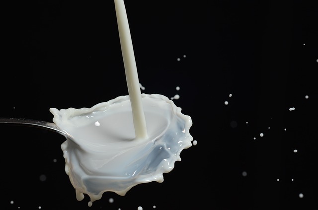 אוסטרליה: ירידה של 22% במכירות חברת החלב הגדולה במדינה