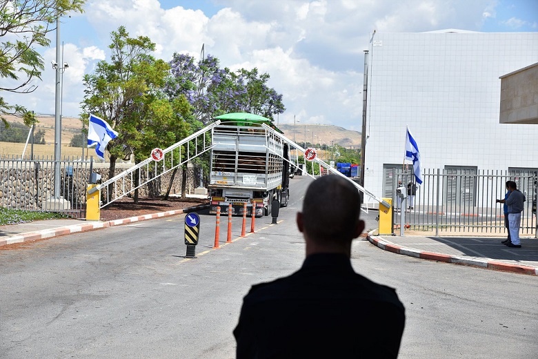 שוטר צופה אל עבר משאית העגלים לאחר פריקתה