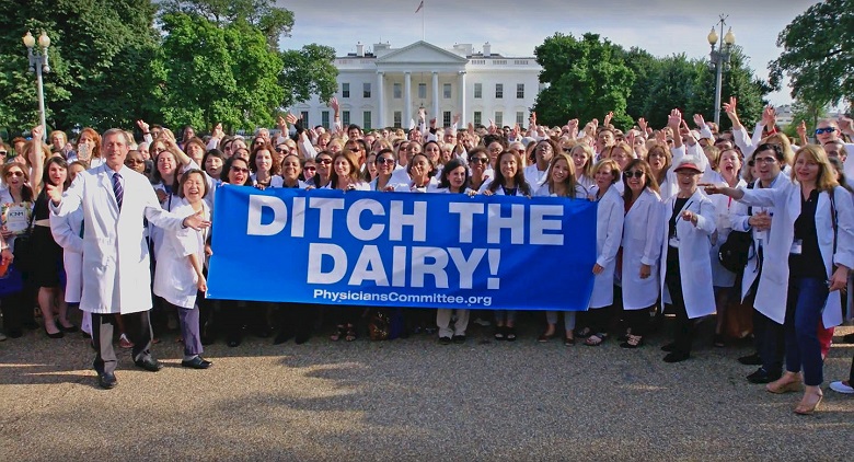 ארצות הברית: הפגנה מול הבית הלבן נגד תעשיית החלב