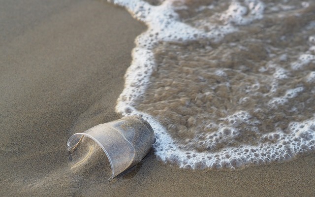 זיהומי פלסטיק נמצאו בבעלי חיים לכל אורך חופי ישראל