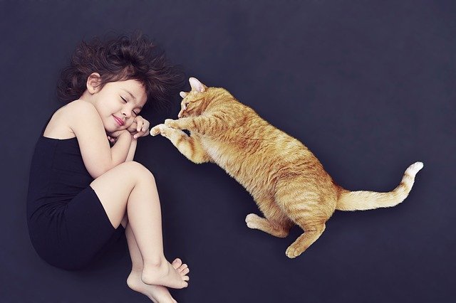 מחקר חדש: חתולים נקשרים לבני אדם באופן דומה לתינוקות