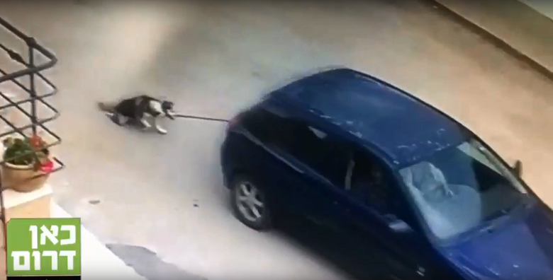 בועז בשארי, שגרר כלב עם מכוניתו, קיבל קנס ומאסר על תנאי