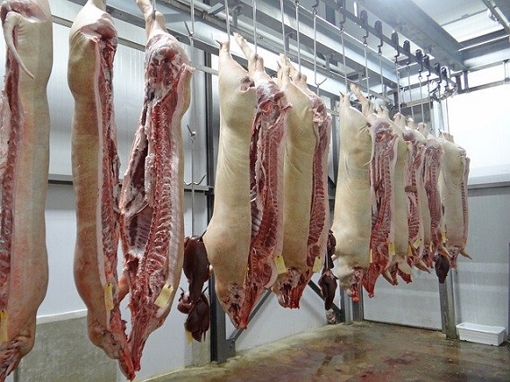 משבר בתעשיית הבשר בארצות הברית: מאות עובדים נדבקו בקורונה