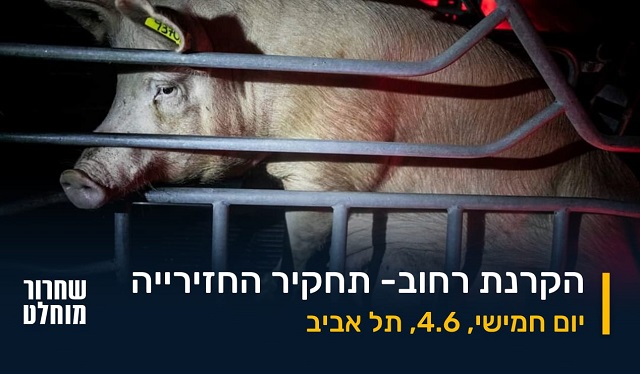 חזיריית קיבוץ להב: התחקיר המלא יוקרן לציבור הרחב