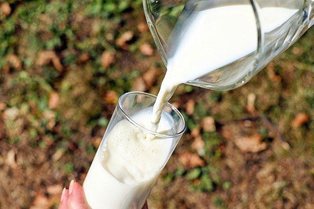 חברת חלב מתורבת השלימה סבב גיוס הון של 3.2 מיליון דולר