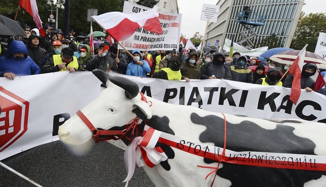 פולין: הצעת חוק מקיפה נגד תעשיות בעלי חיים
