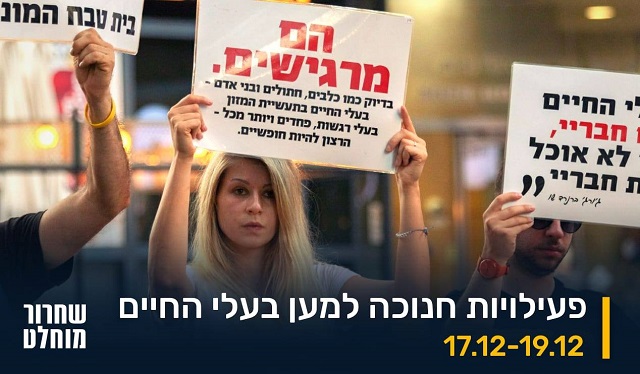 קירות שקופים מגבירה את החשיפה של זוועות בית המטבחיים