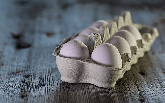 קשר בין צריכת ביצים לסיכון גבוה יותר לתמותה ממחלות קרדיווסקולריות וסרטן - מחקר חדש