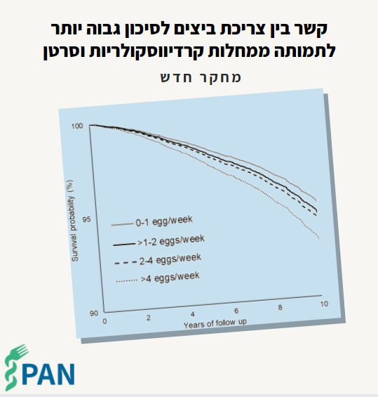 קשר בין צריכת ביצים לסיכון גבוה יותר לתמותה ממחלות קרדיווסקולריות וסרטן - מחקר חדש